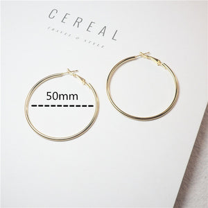 Silver or Gold Hoop Earrings