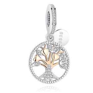 925 Sterling Silver & Rose Color Pandora Style Charms